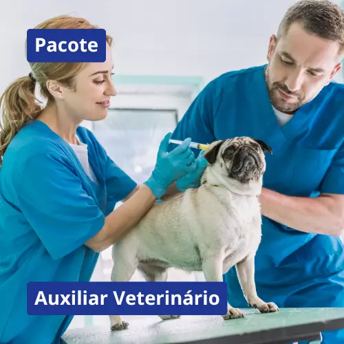 Auxiliar Veterinário